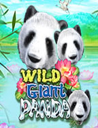 ทดลองเล่น turbo slot พร้อมรับโบนัสคุ้มค่า